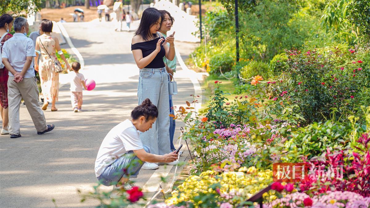 银河网站是什么